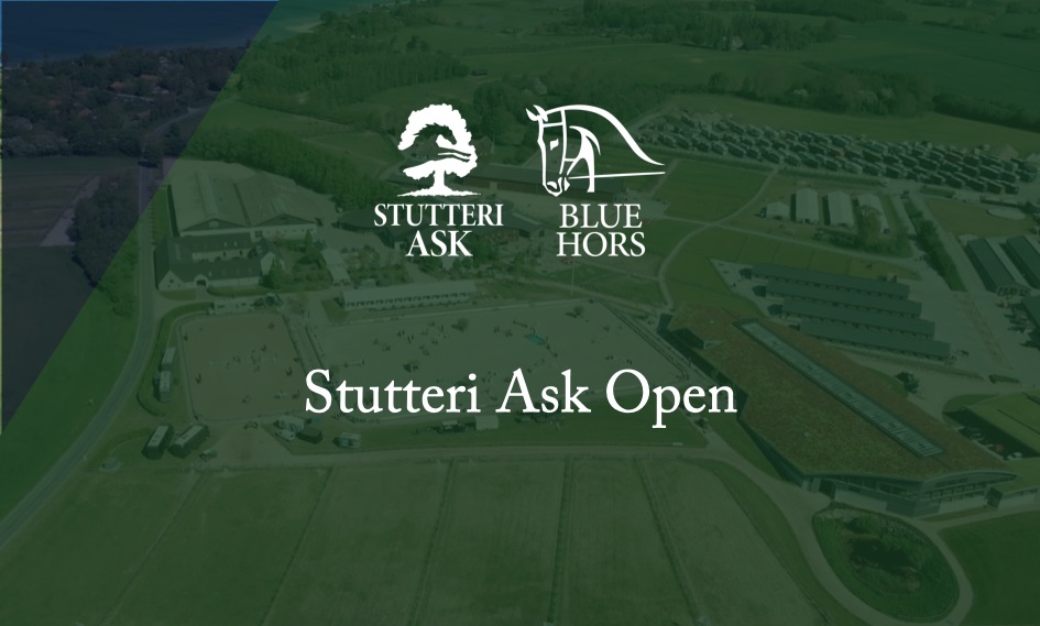 Stutteri Ask Open (C/D)