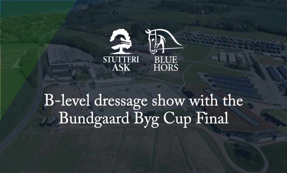 B-level dressage show