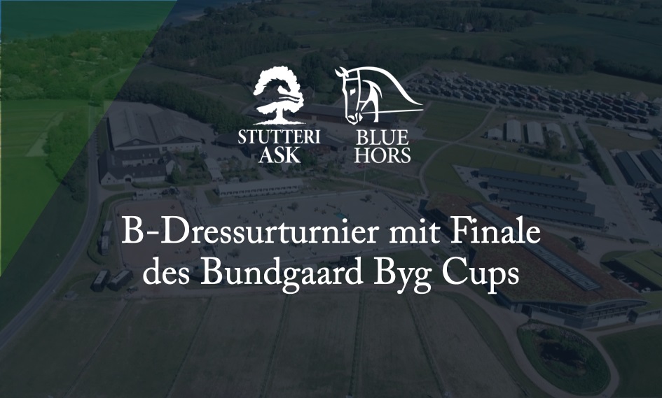 B-Dressurturnier