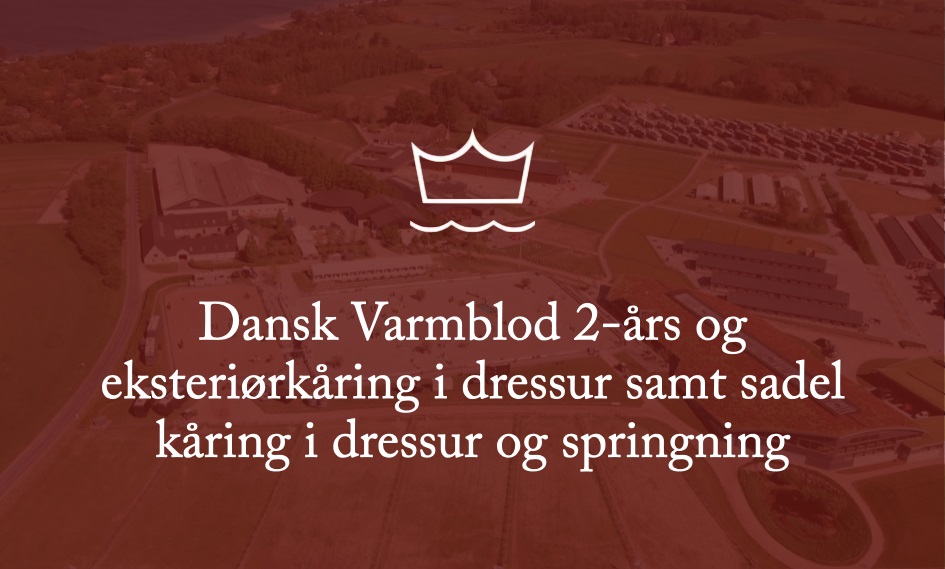 Dansk Varmblod 2-års og Eksteriørkåring i Dressur